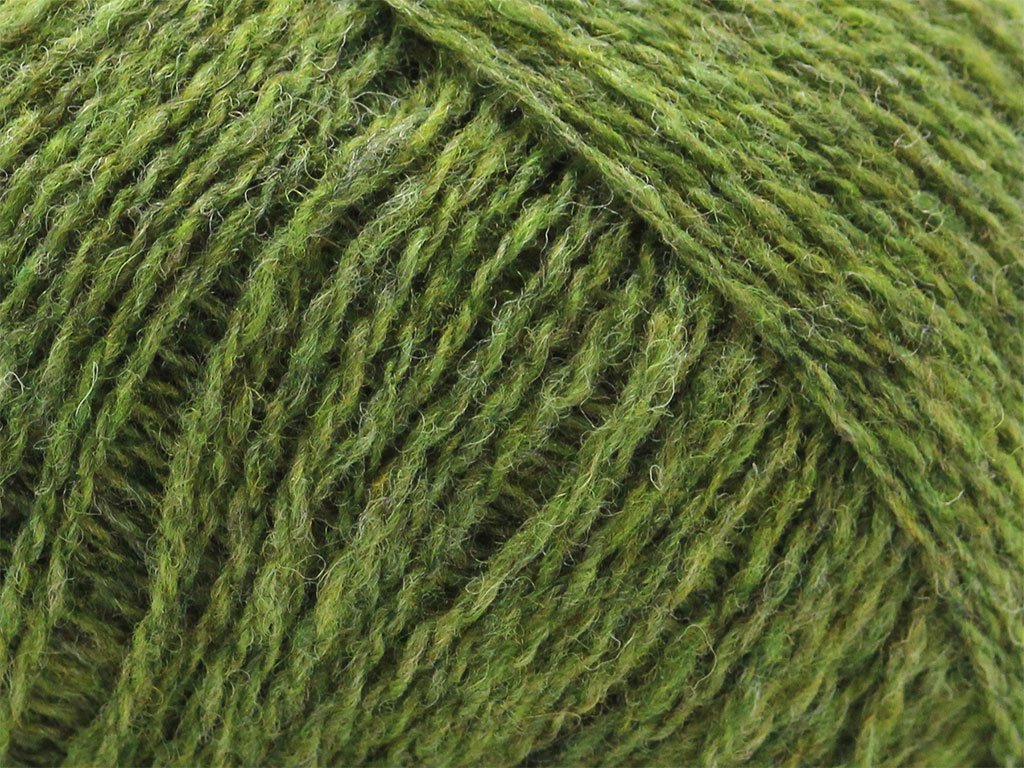 Woolbarn Lamswol – Mosgroen